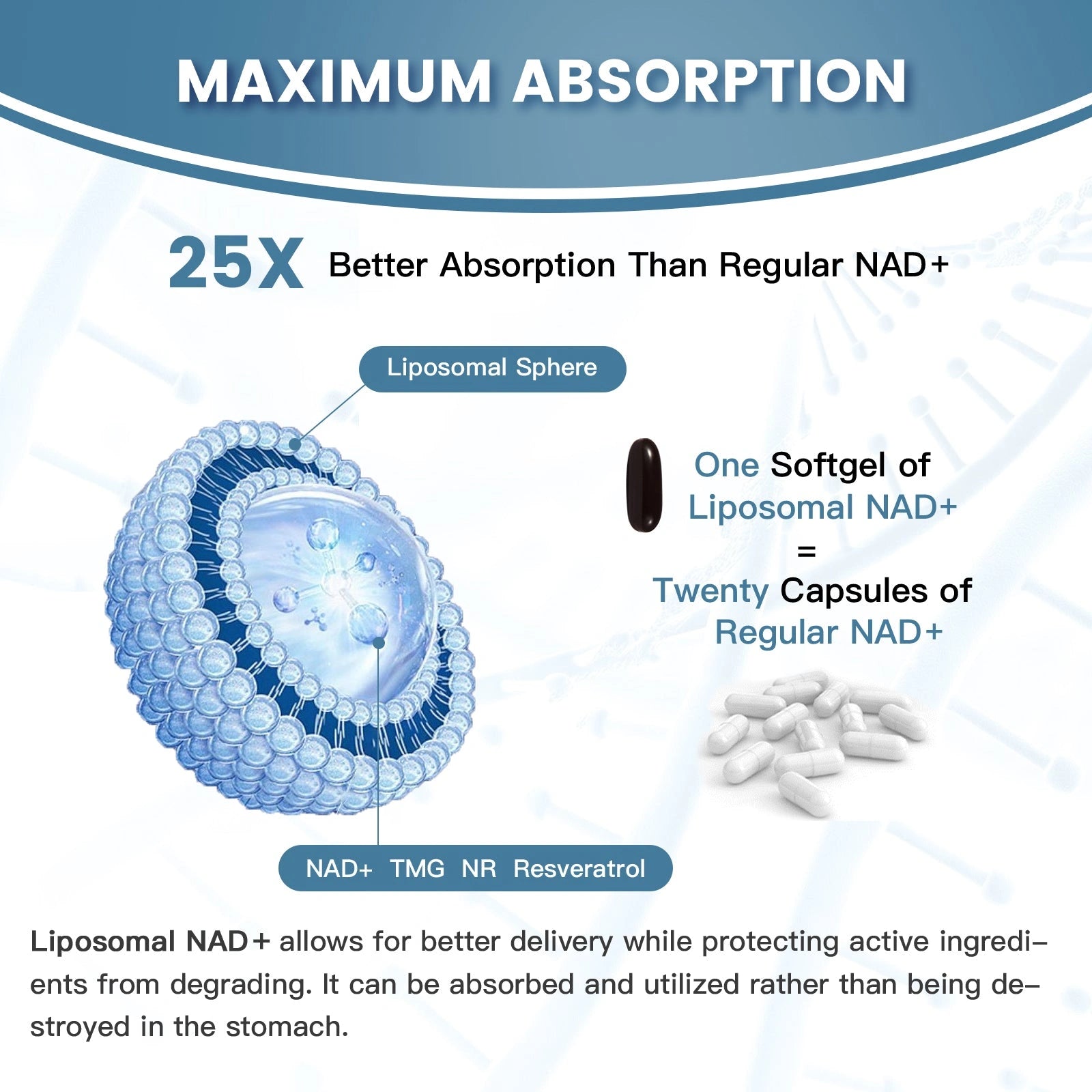 inGreens Liposomal NAD+ 1800mg – NR, Resveratrol & TMG, 180 Softgels