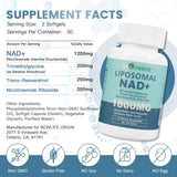 Liposomal NAD+ Supplement 1800 mg with Nicotinamide Riboside
