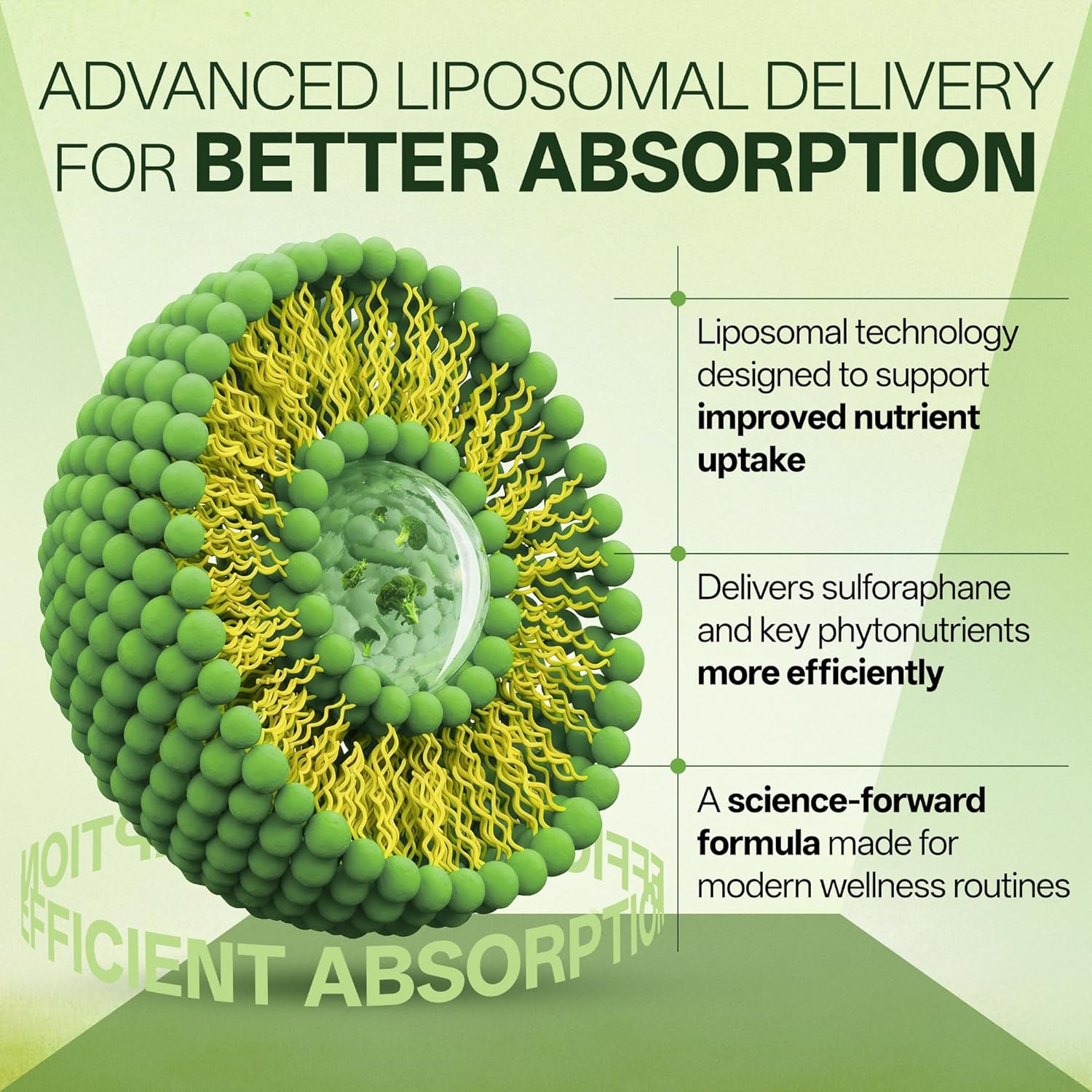 Liposomal Sulforaphane 500mg Supplement