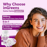 inGreens Camu Camu 2000mg Capsules – Natural Vitamin C & Antioxidant Support – Immune & Skin Health Formula – 60 Capsules