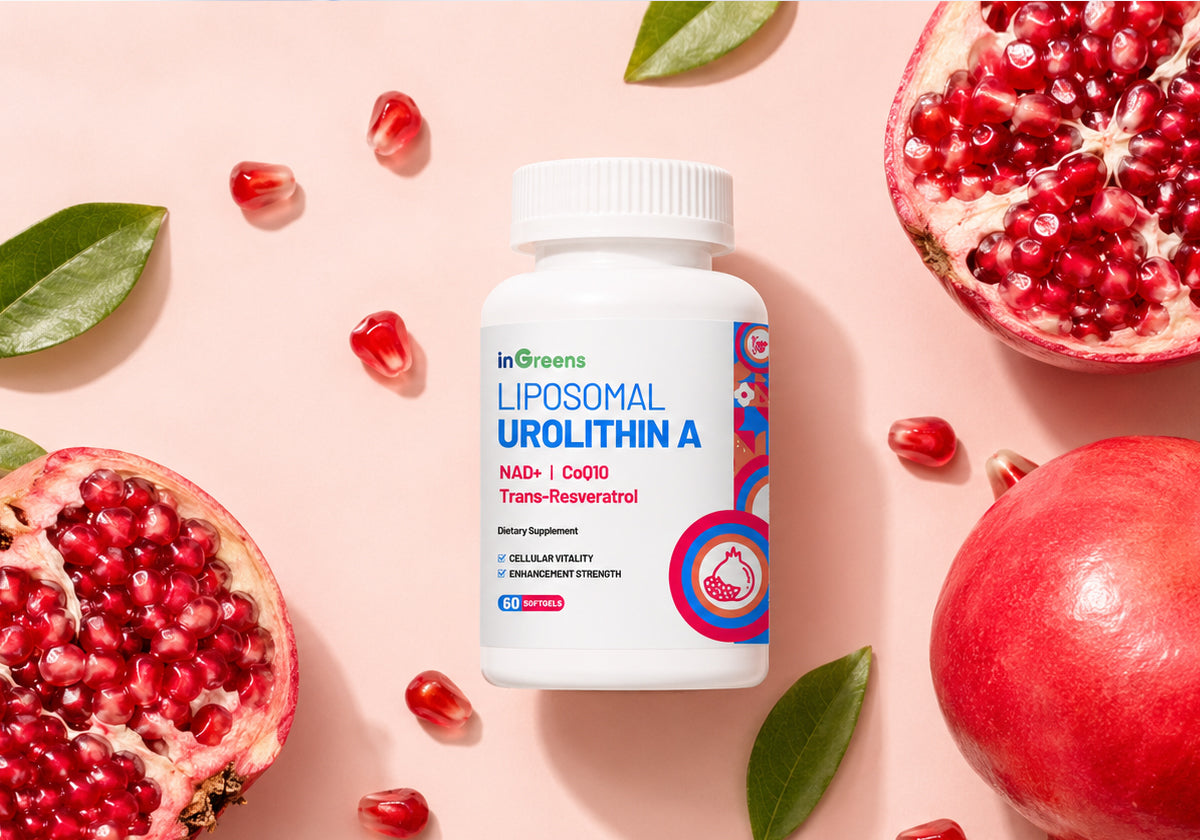 The New Anti – aging Substance Has Arrived! NMNH Helps Slow Down the Rate of Aging