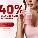 inGreens Pomegranate Powder - Sugar Free Antioxidant Drink Mix | with 40% Ellagic Acid, L-Ergothioneine, Vitamin C & Prebiotic Fiber - 30 Stick Packs