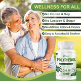 inGreens 25-in-1 Polyphenols 2000mg – Quercetin, Resveratrol & Plant-Based Antioxidants