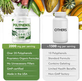 inGreens 25-in-1 Polyphenols 2000mg – Quercetin, Resveratrol & Plant-Based Antioxidants