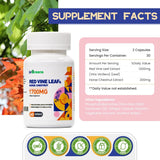 inGreens Red Vine Leaf Extract 1700mg – Horse Chestnut, Vascular Wellness