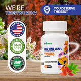 inGreens Red Vine Leaf Extract 1700mg – Horse Chestnut, Vascular Wellness