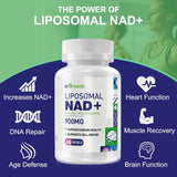 inGreens Liposomal NAD+ 900mg – Trans-Resveratrol 300mg, Softgels