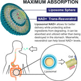 inGreens Liposomal NAD+ 900mg – Trans-Resveratrol 300mg, Softgels