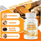 inGreens Liposomal Turmeric 2275mg – 95% Curcumin, Ginger & Black Pepper