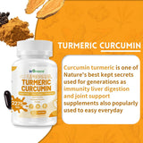 inGreens Liposomal Turmeric 2275mg – 95% Curcumin, Ginger & Black Pepper