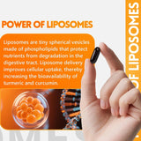 inGreens Liposomal Turmeric 2275mg – 95% Curcumin, Ginger & Black Pepper