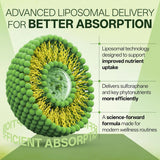 inGreens Liposomal Sulforaphane – 500mg, Quercetin & Vitamin C