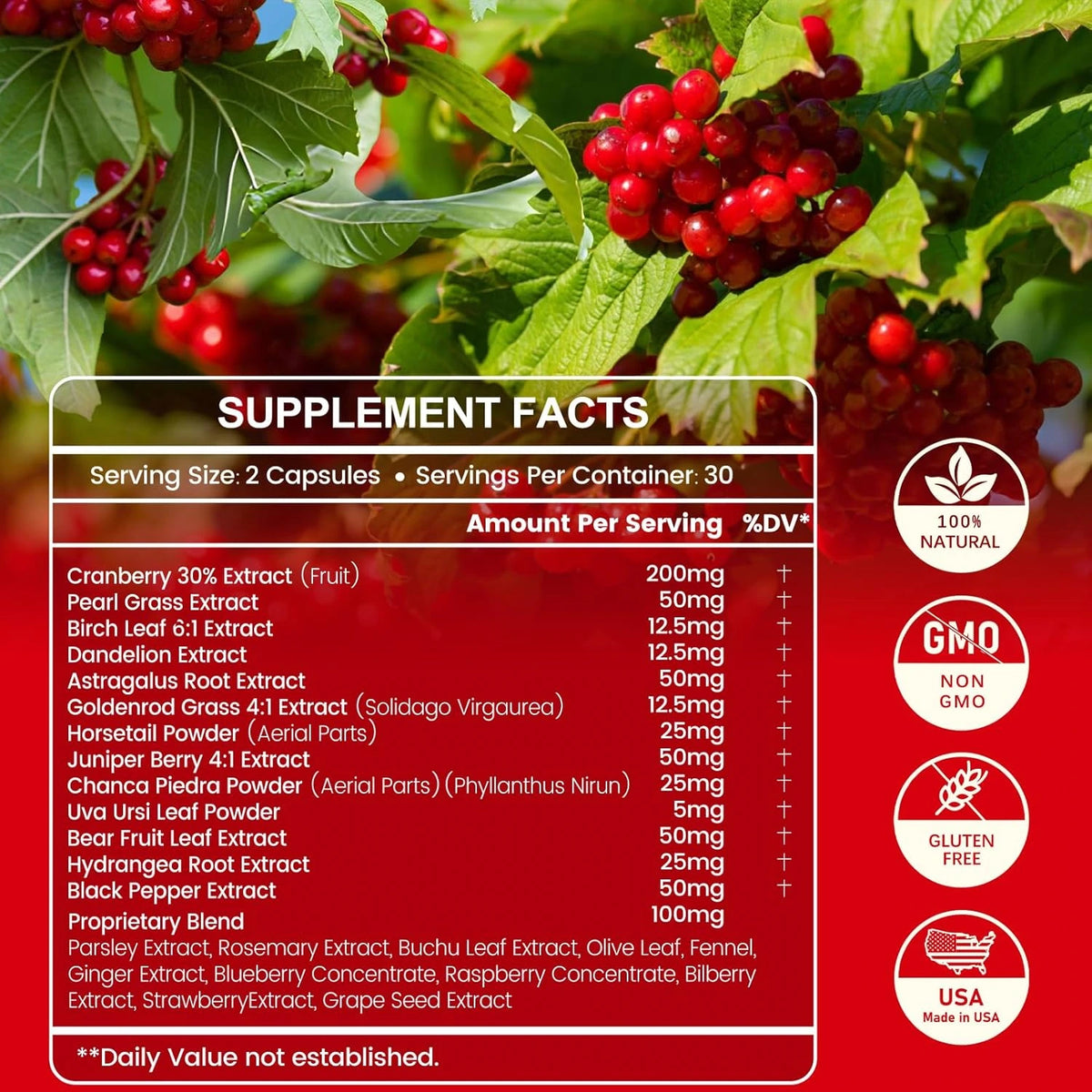 inGreens Kidney Wellness Complex 24 Herbs – Cranberry & Astragalus, 60 Capsules