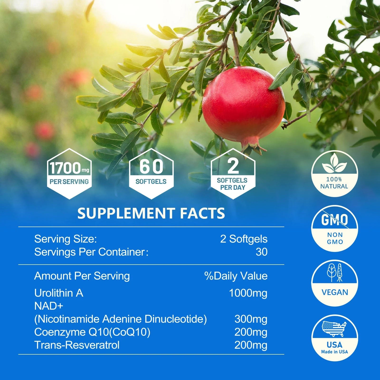 inGreens Urolithin A Complex Softgels – 1000mg, 60 Coun