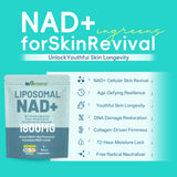 inGreens Liposomal NAD+ 1800mg – NR, Resveratrol & TMG, 90 Capsules