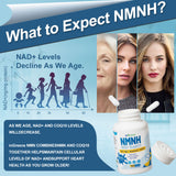 inGreens NMNH 600mg with NR, TMG, Resveratrol & CoQ10 - NAD+ Booster