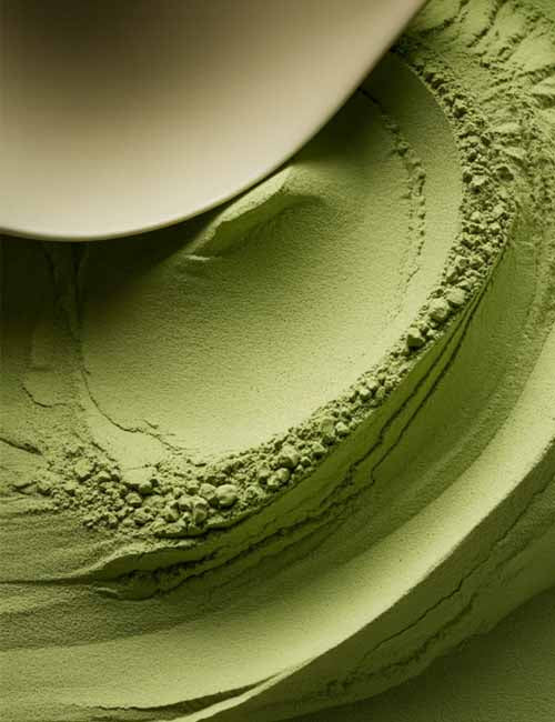 Plant Protein