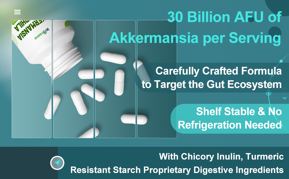 Akkermansia Probiotic Supplement