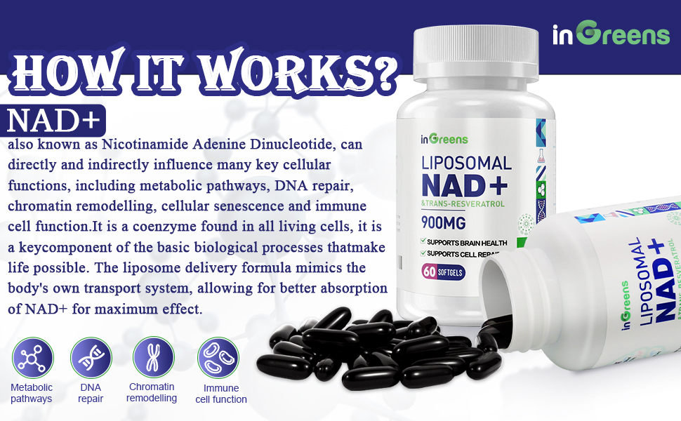 NAD+ Supplement