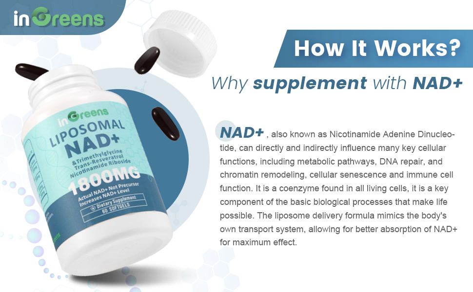 Liposomal NAD+ Supplement