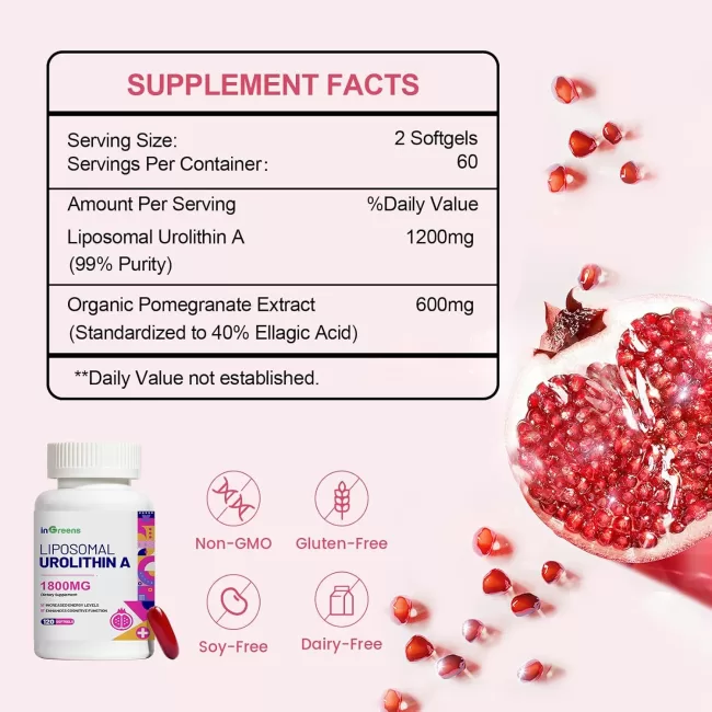 Urolithin A Supplement 1800mg - Image 2