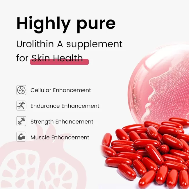 Urolithin A Supplement 1800mg - Image 3