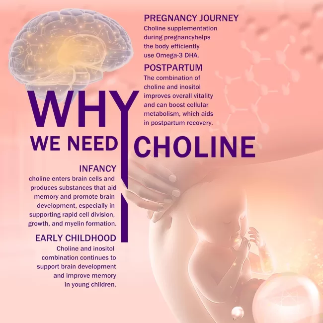 Prenatal Choline Supplement - Image 4